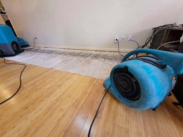 Professional Water Damage Repair technician working in Coward, SC